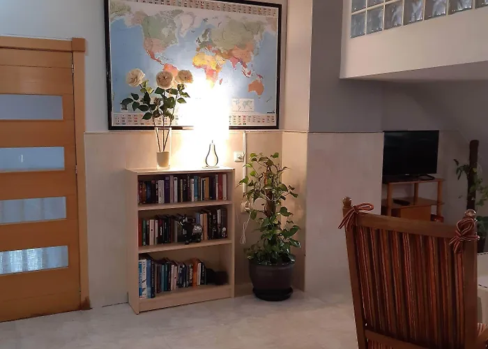 Ξενοδοχείο Cano Τορεβιέχα